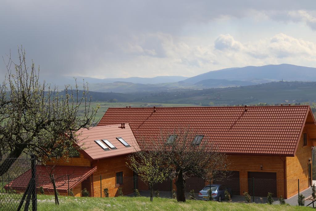 Fantastic View Vineyard Beskid Mountains Gruszow  Exterior photo